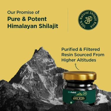 https://cdn.shopify.com/s/files/1/1857/6931/products/twTQ9XTXvm.jpg?v=1693827128
